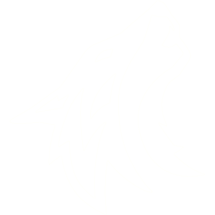 Forge Wolf Productions